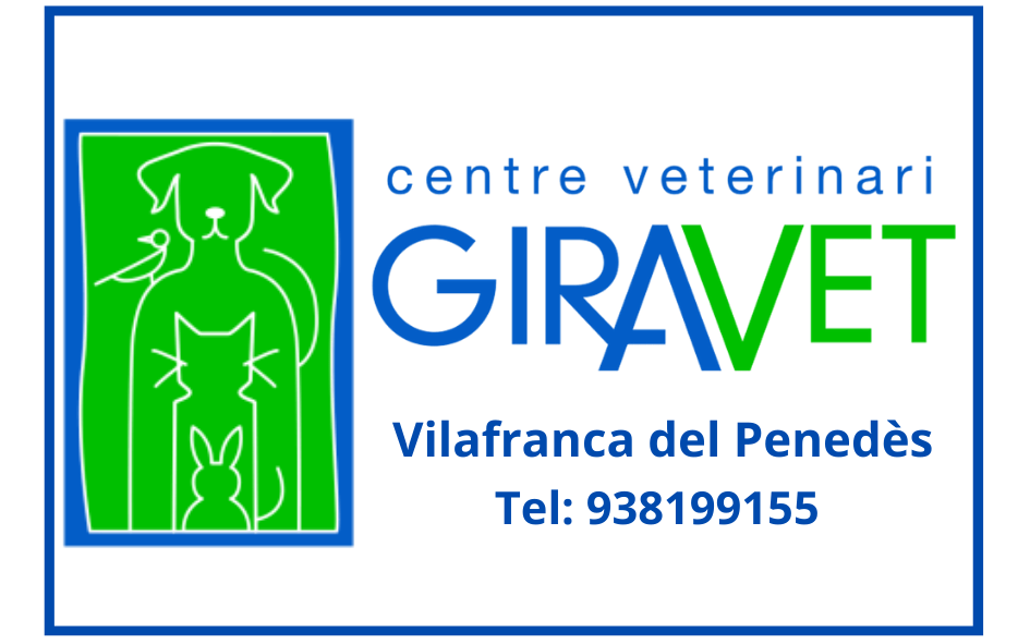 logo-giravet